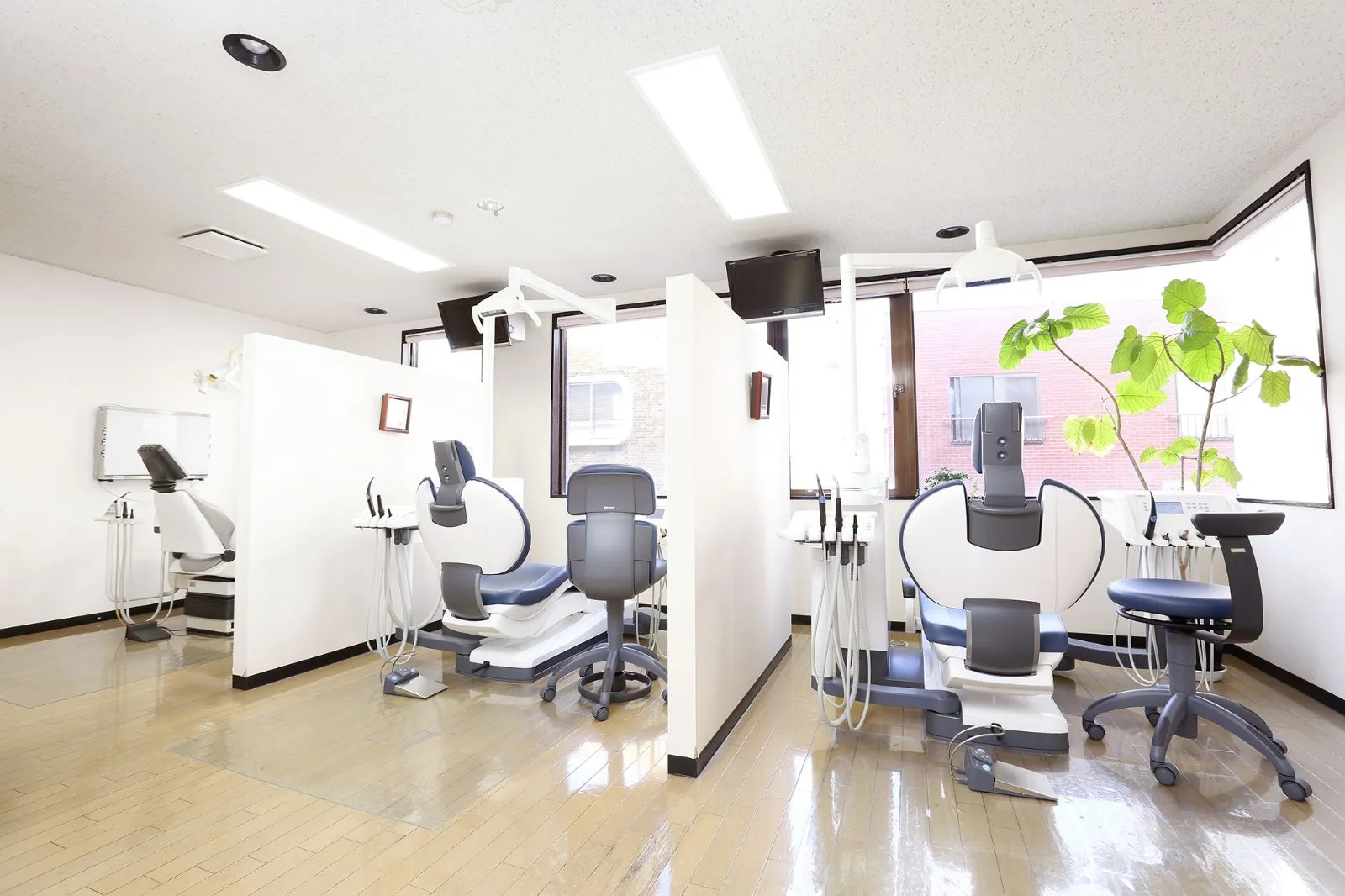 明るく清潔な診療室